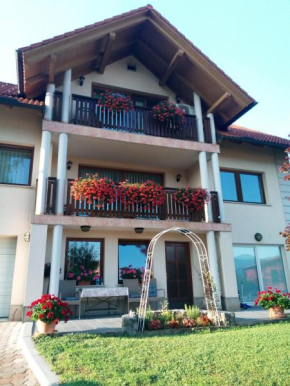  Dolenjska Vila  Жужемберк